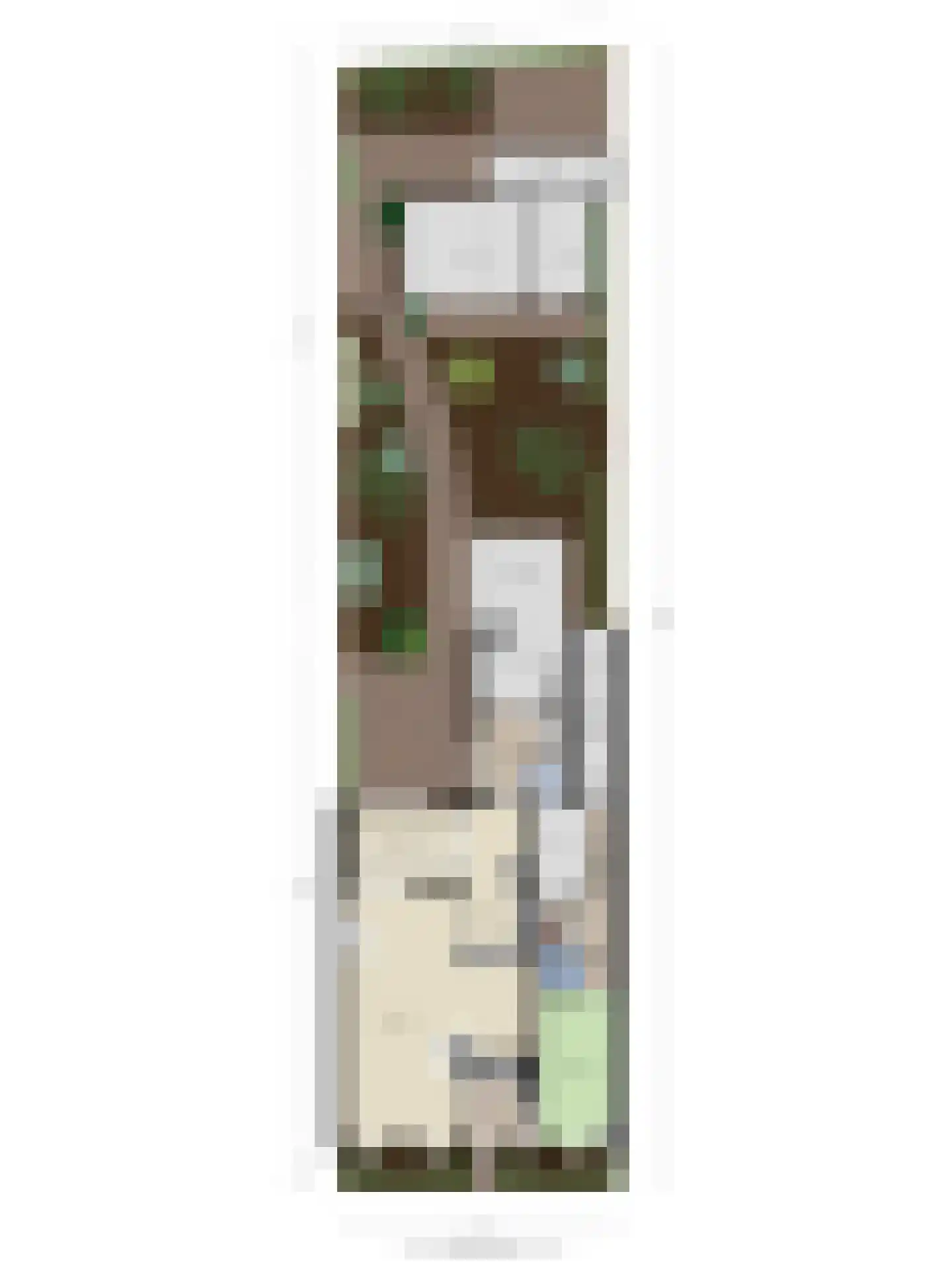 Laarstraat 41 Geldrop thumbnail 48