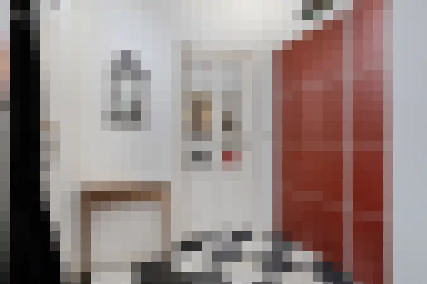 Laarstraat 41 Geldrop thumbnail 5