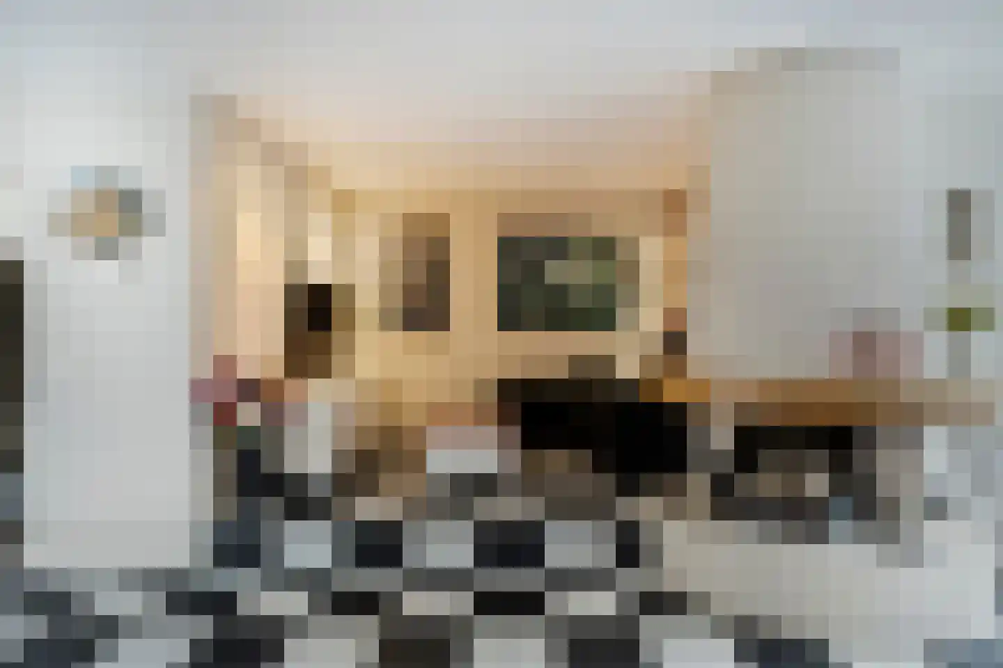 Laarstraat 41 Geldrop thumbnail 9
