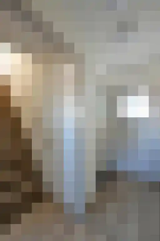 Laarstraat 59 Tilburg thumbnail 37