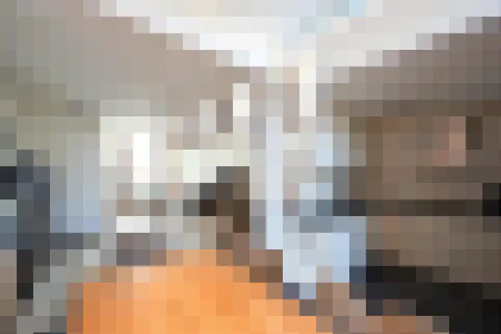 Laarstraat 59 Tilburg thumbnail 7