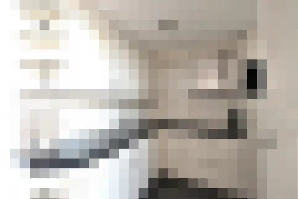 Laarstraat 59 Tilburg thumbnail 8
