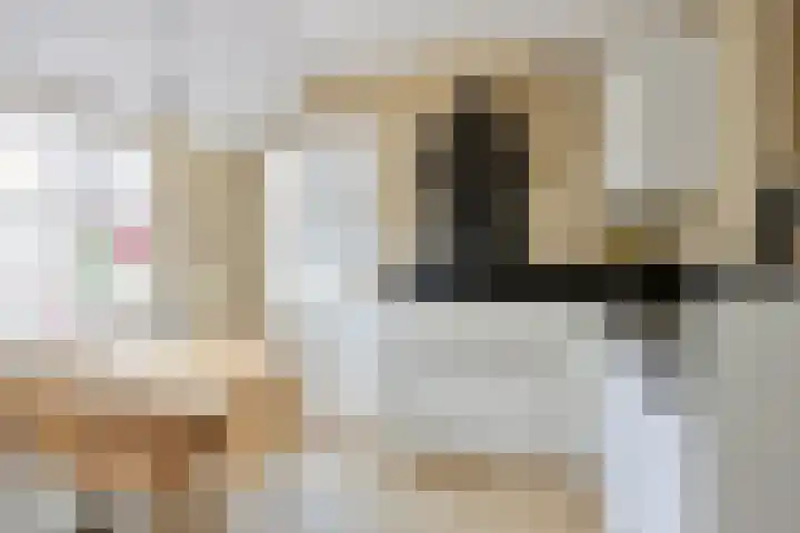 Laarstraat 66 Goor thumbnail 13
