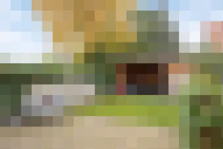 Laarstraat 66 Goor thumbnail 31