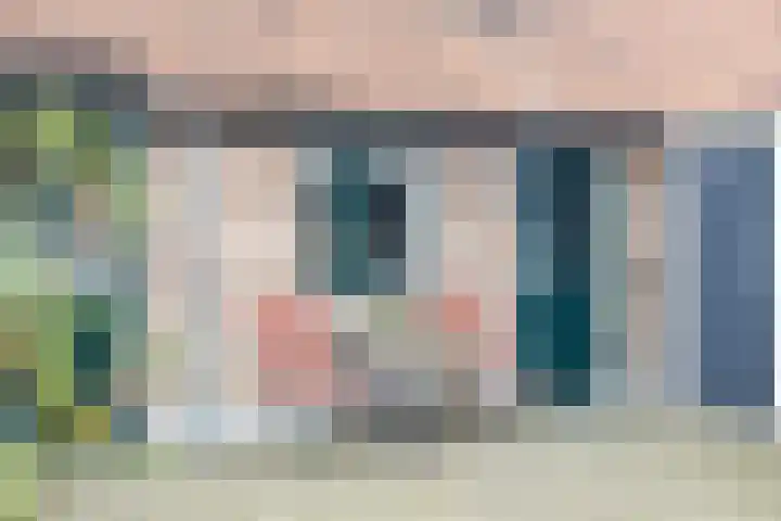 Laarstraat 66 Goor thumbnail 36