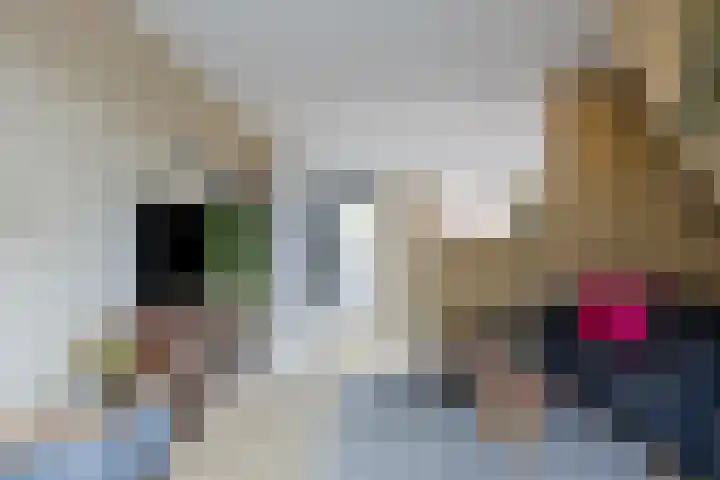 Laarstraat 66 Goor thumbnail 4