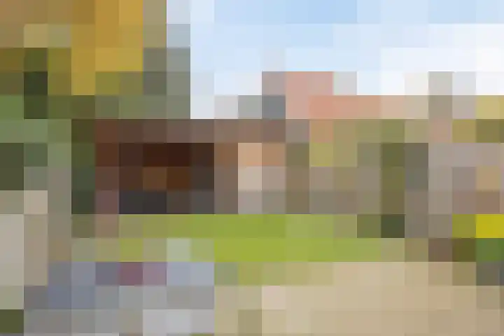 Laarstraat 66 Goor thumbnail 6