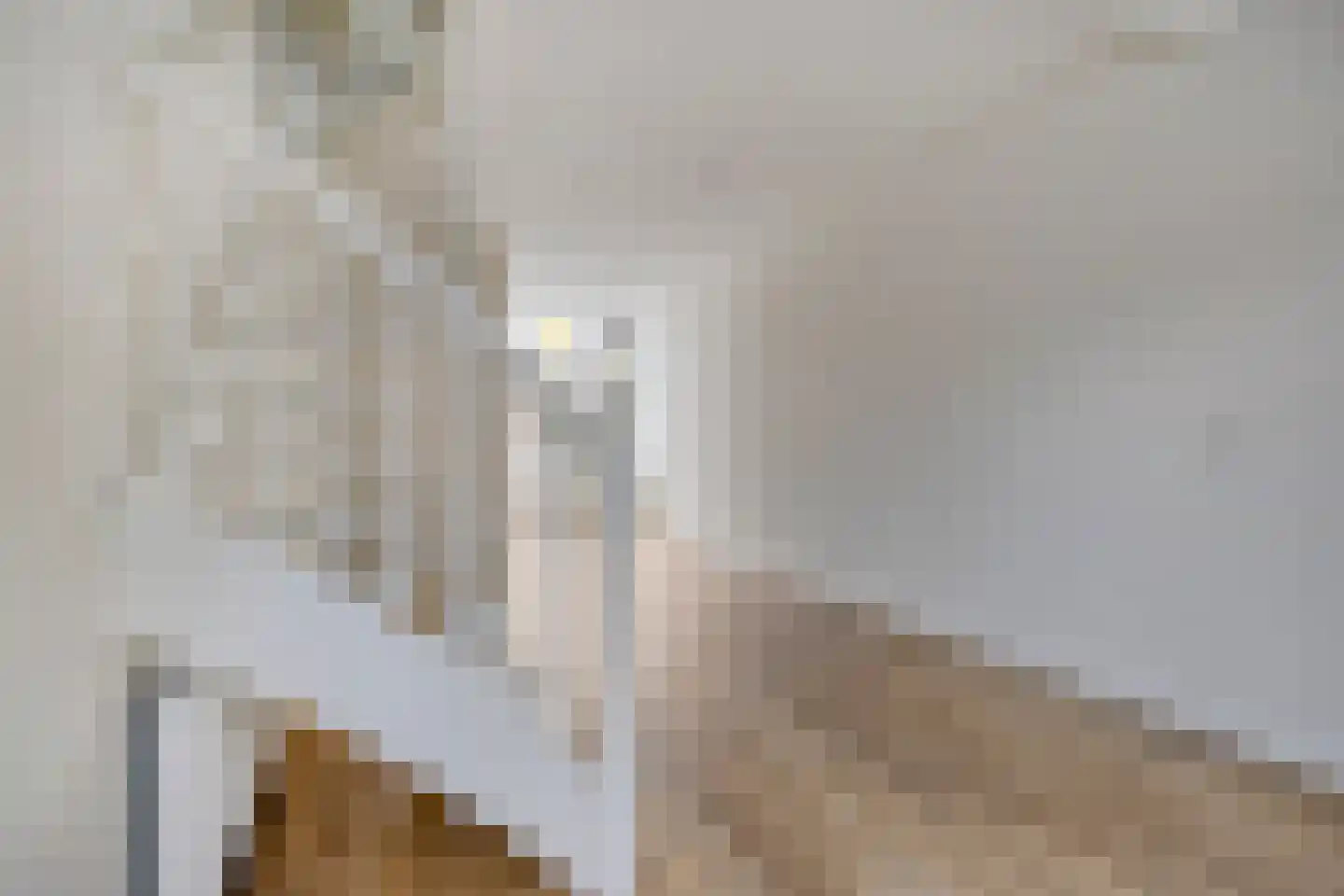 Laarstraat 73 Zutphen thumbnail 10