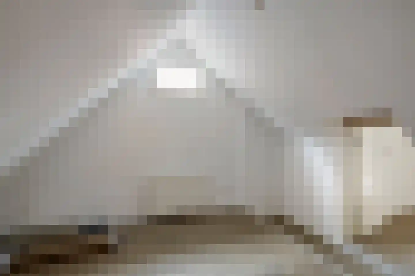Laarstraat 73 Zutphen thumbnail 32