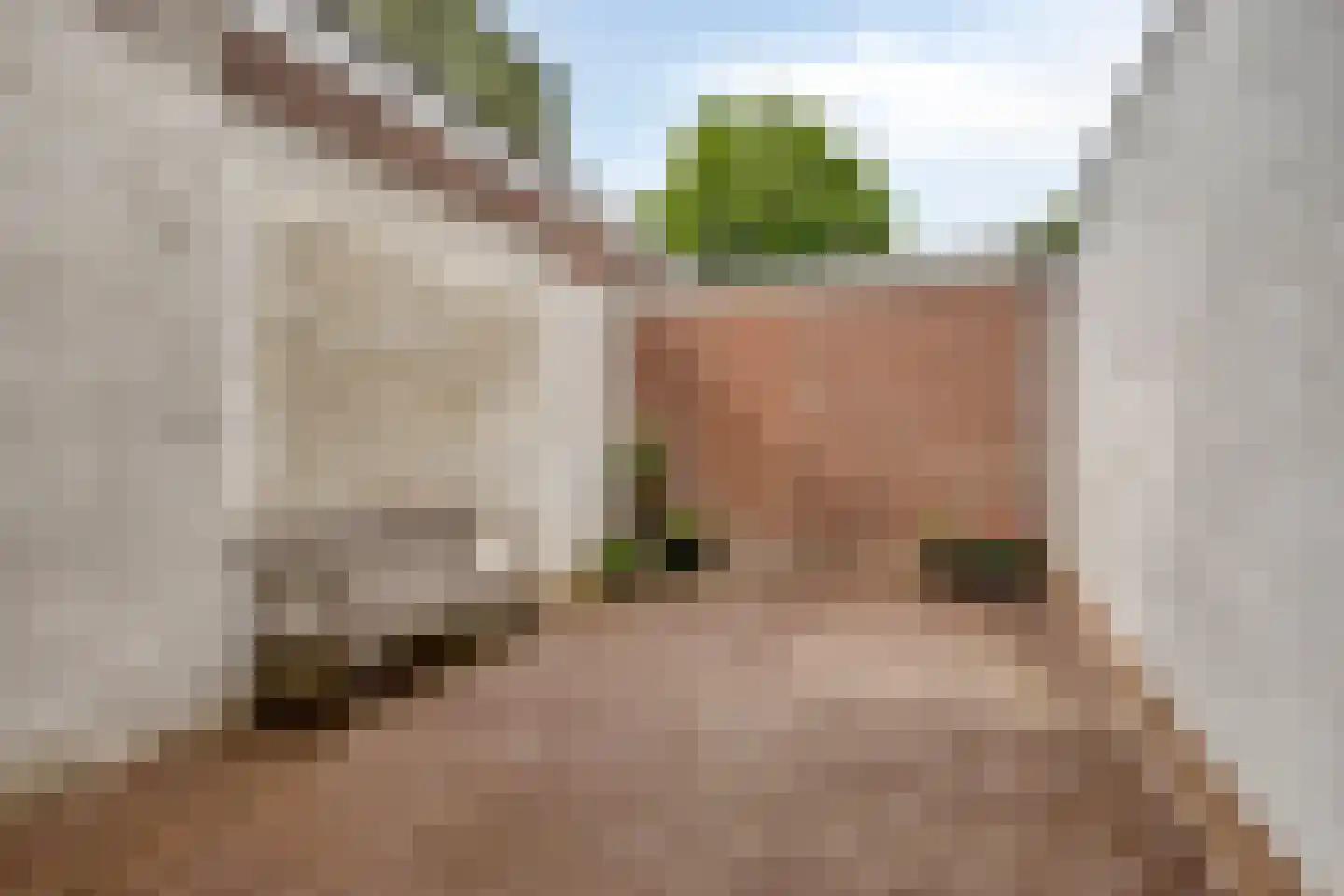 Laarstraat 73 Zutphen thumbnail 33
