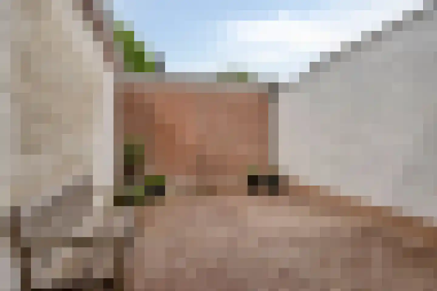 Laarstraat 73 Zutphen thumbnail 34