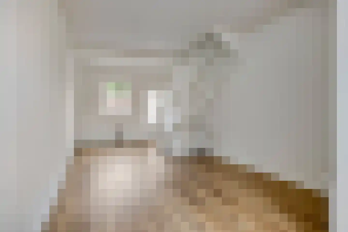 Laarstraat 73 Zutphen thumbnail 5