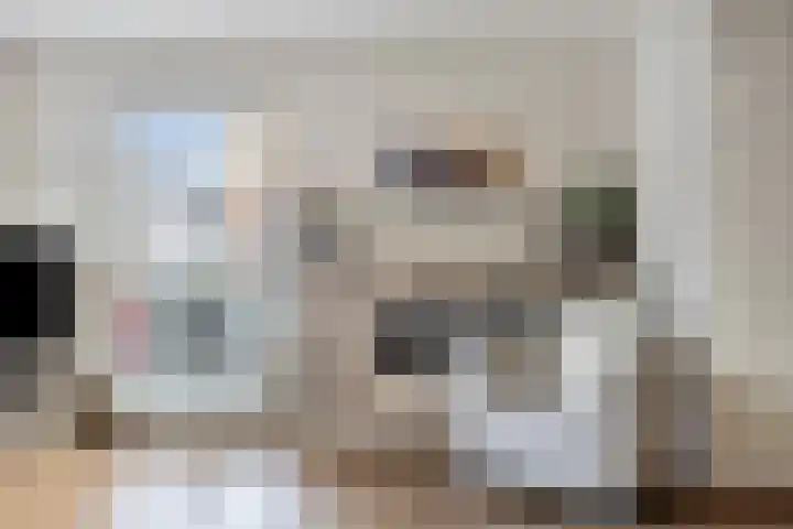 Laarstraat 74 Goor thumbnail 11
