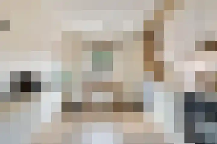 Laarstraat 74 Goor thumbnail 13