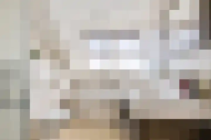 Laarstraat 74 Goor thumbnail 16