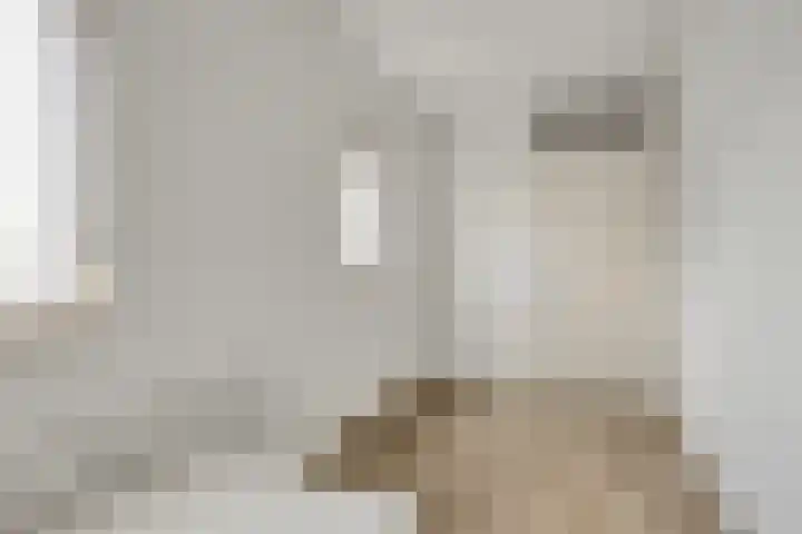 Laarstraat 74 Goor thumbnail 23