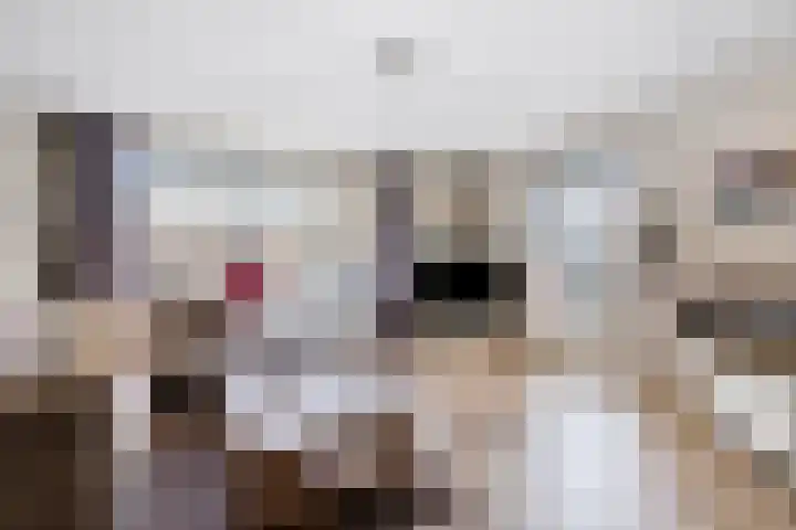Laarstraat 74 Goor thumbnail 9