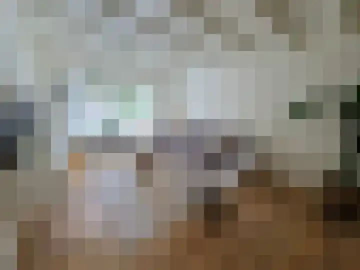 Laarstraat 75 Goor thumbnail 10