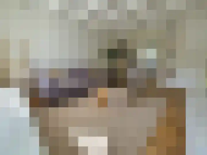 Laarstraat 75 Goor thumbnail 12
