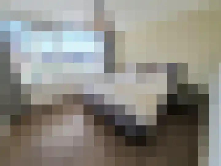 Laarstraat 75 Goor thumbnail 21