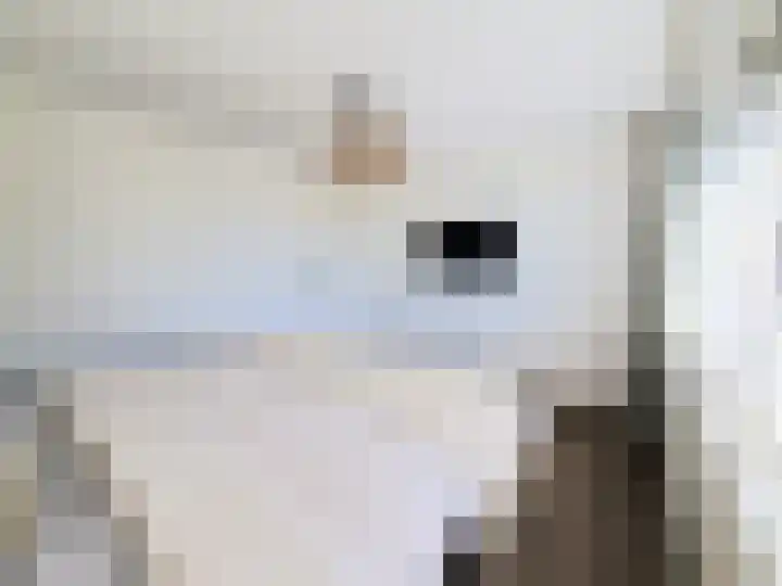 Laarstraat 75 Goor thumbnail 22