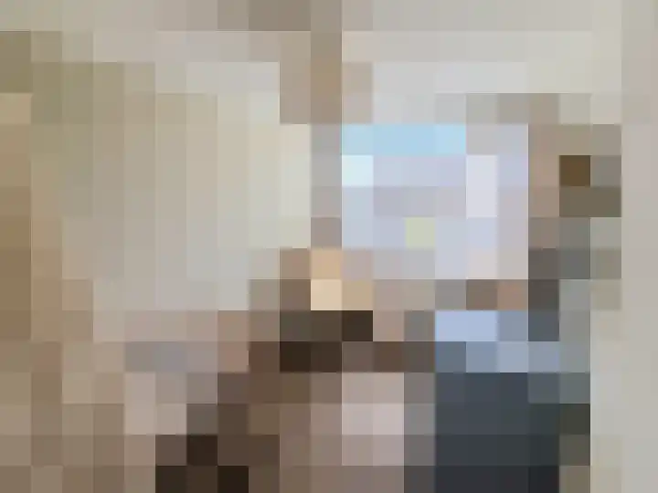 Laarstraat 75 Goor thumbnail 23