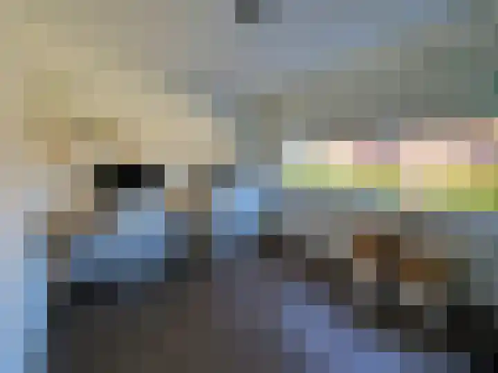 Laarstraat 75 Goor thumbnail 26