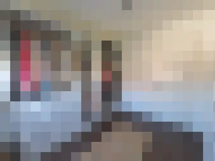 Laarstraat 75 Goor thumbnail 29