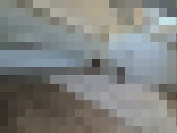 Laarstraat 75 Goor thumbnail 34