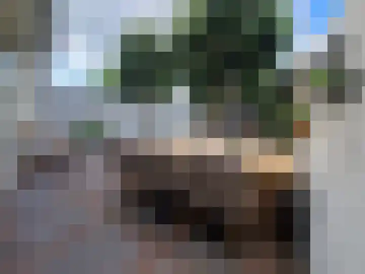 Laarstraat 75 Goor thumbnail 37