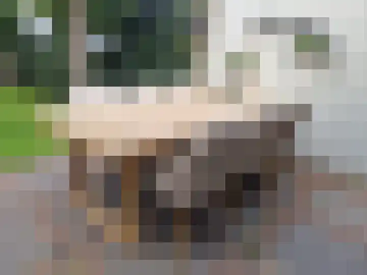 Laarstraat 75 Goor thumbnail 38