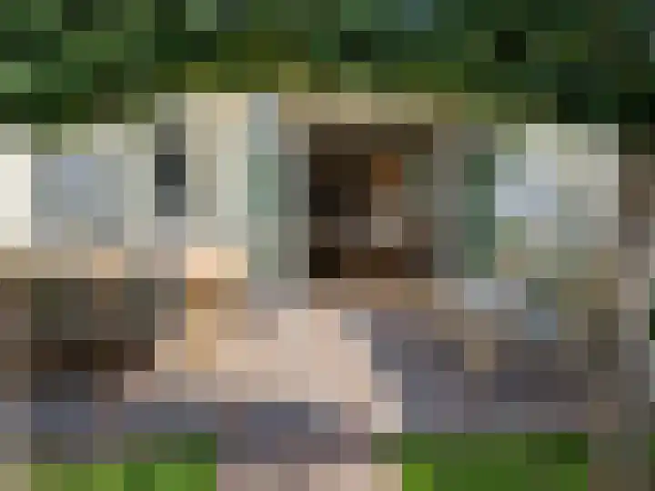 Laarstraat 75 Goor thumbnail 41
