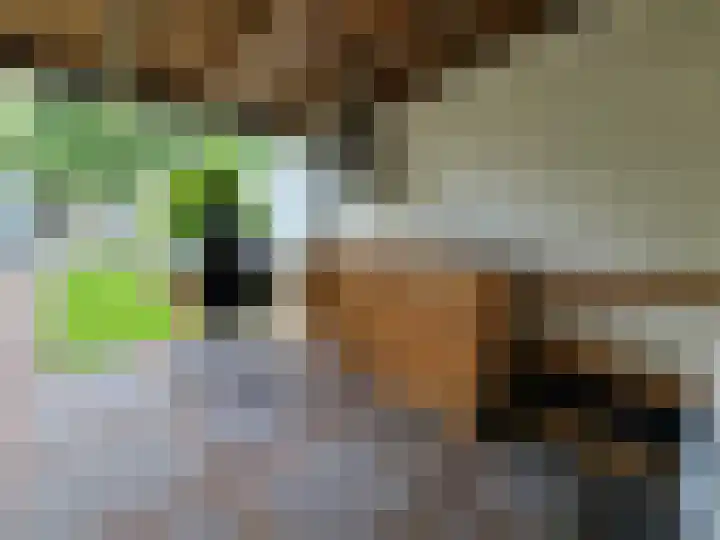 Laarstraat 75 Goor thumbnail 44