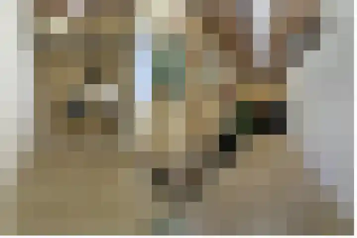 Laarstraat 75 Goor thumbnail 45