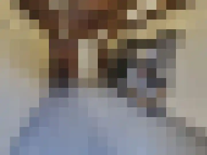 Laarstraat 75 Goor thumbnail 46
