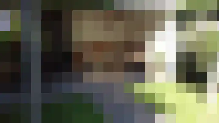 Laarstraat 75 Goor thumbnail 6