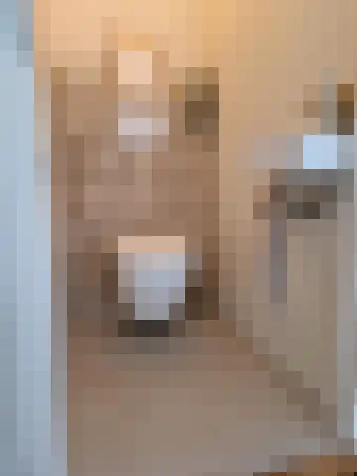 Laarstraat 75 Goor thumbnail 9