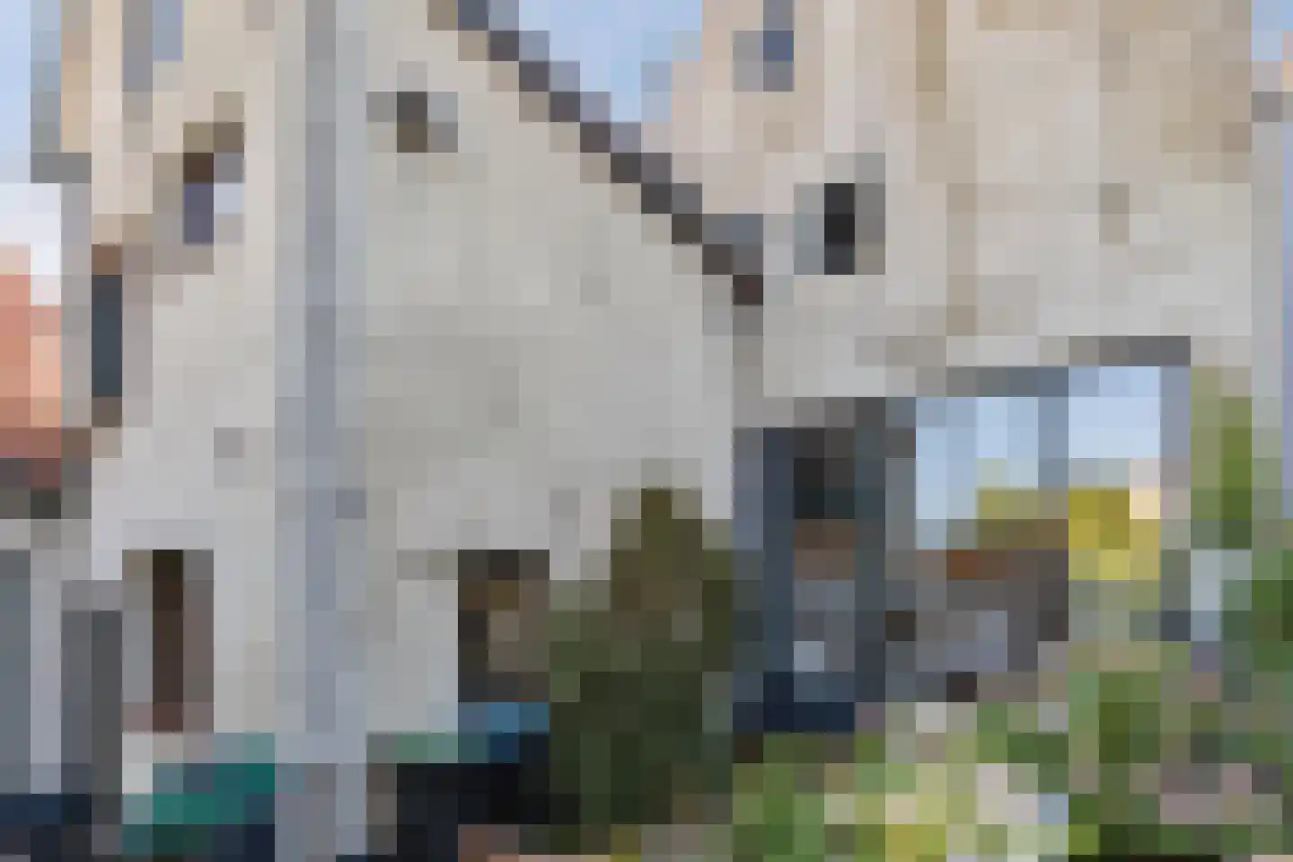 Laarstraat 81 Zutphen thumbnail 19