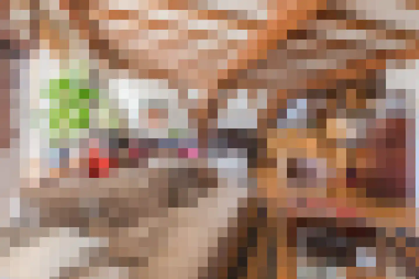 Laarstraat 81 Zutphen thumbnail 31