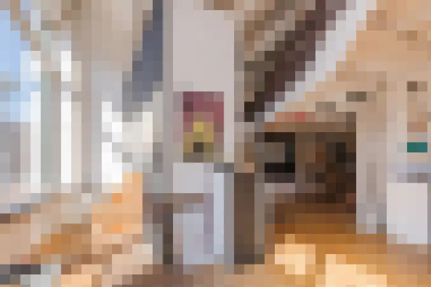 Laarstraat 81 Zutphen thumbnail 5