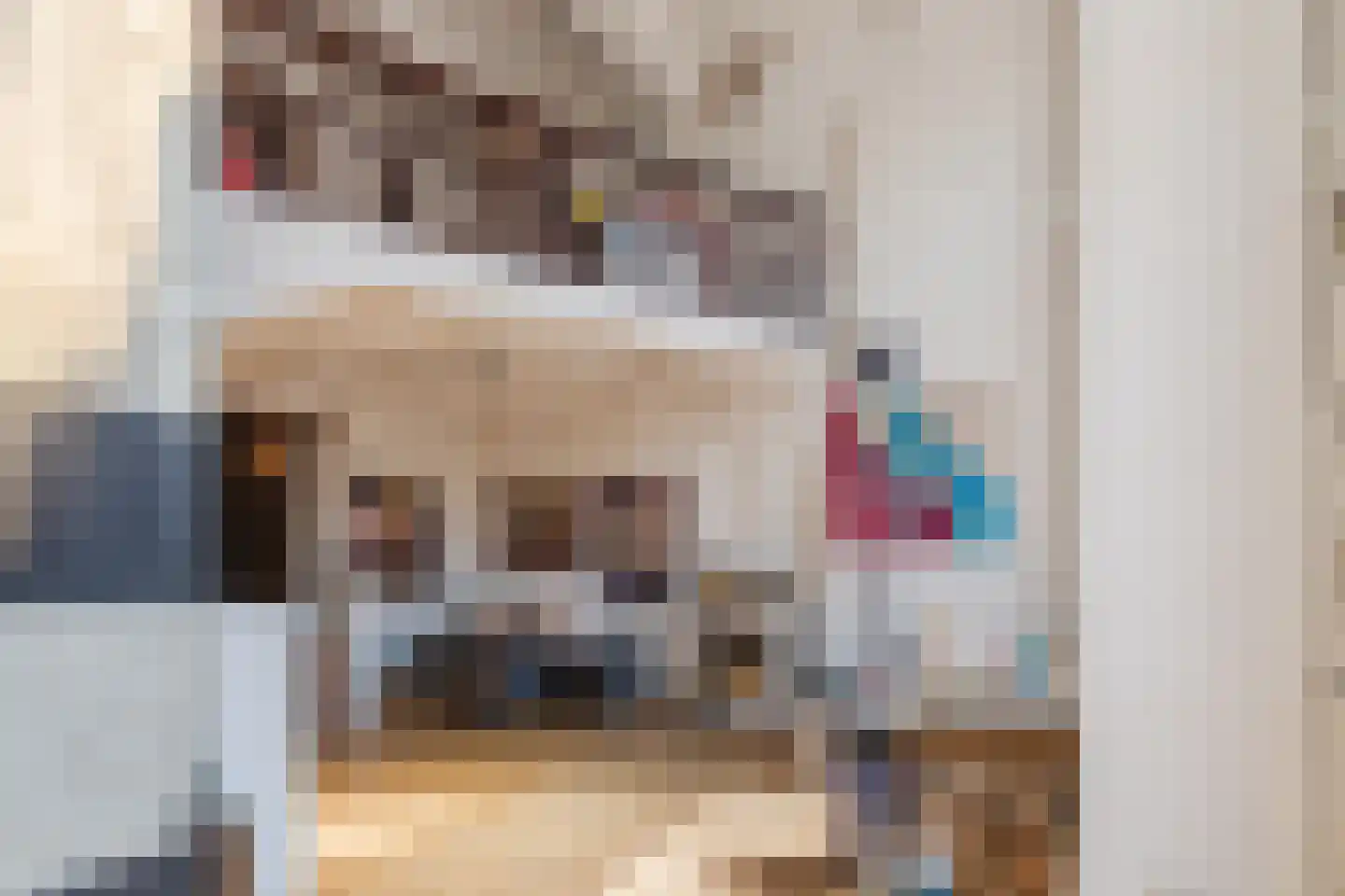 Laarstraat 81 Zutphen thumbnail 6