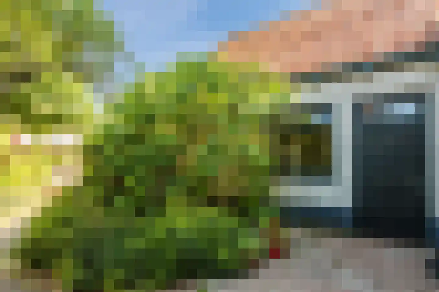 Laarstraat 81 Zutphen thumbnail 66
