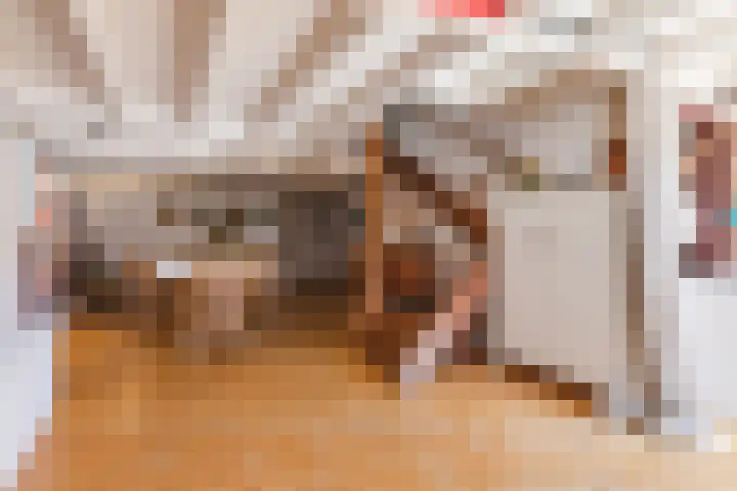 Laarstraat 81 Zutphen thumbnail 8