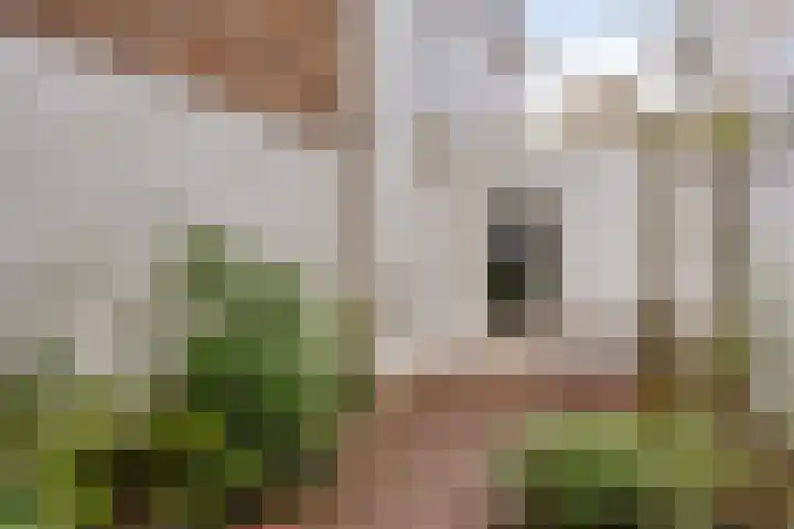 Laarstraat 83 Zutphen thumbnail 32