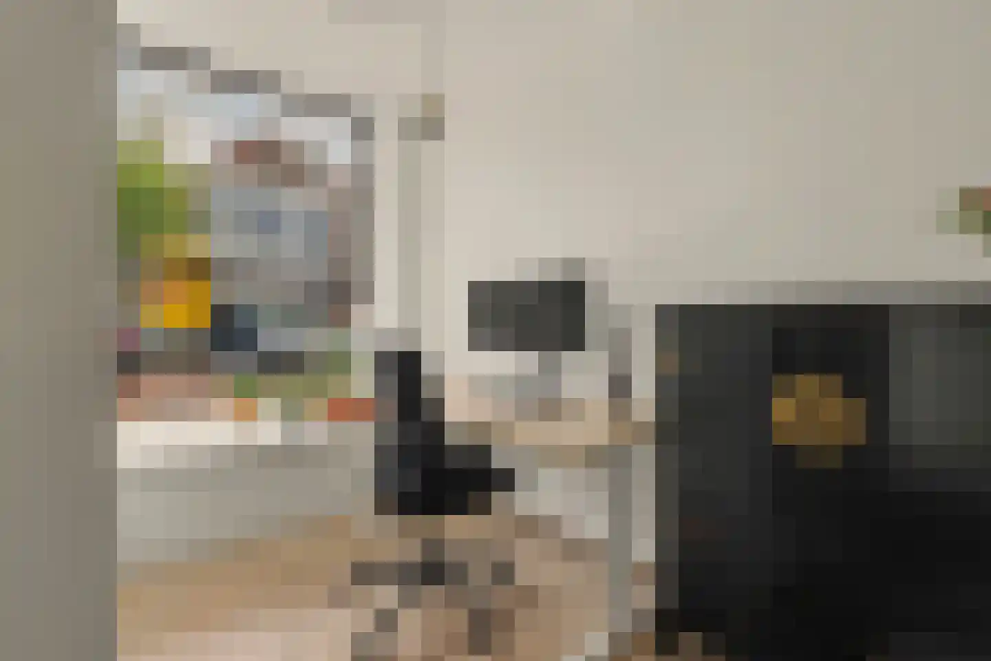 Laarstraat 93 Zutphen thumbnail 11
