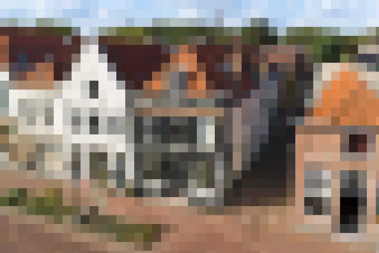 Laarstraat 93 Zutphen thumbnail 29