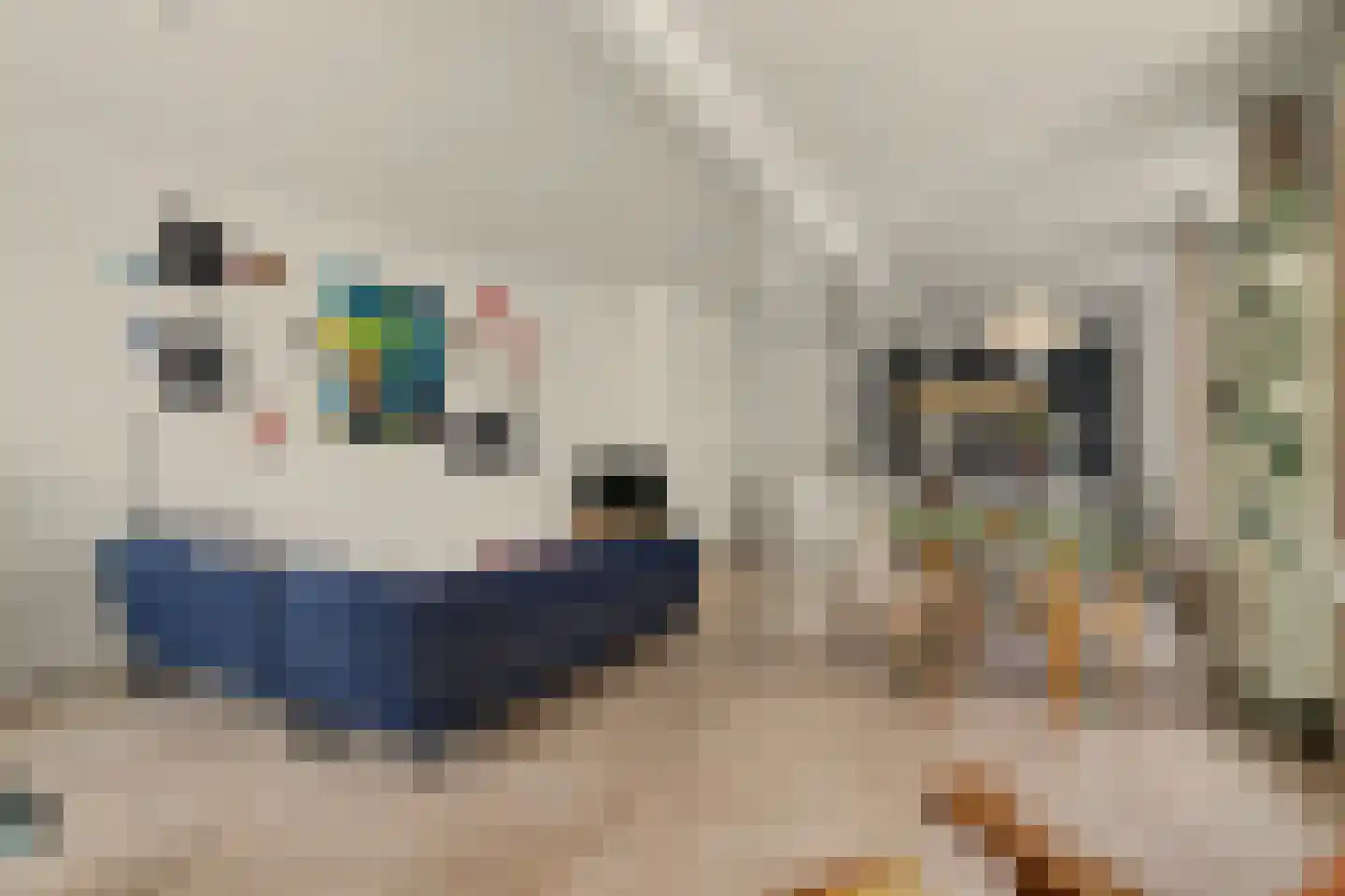 Laarstraat 93 Zutphen thumbnail 8