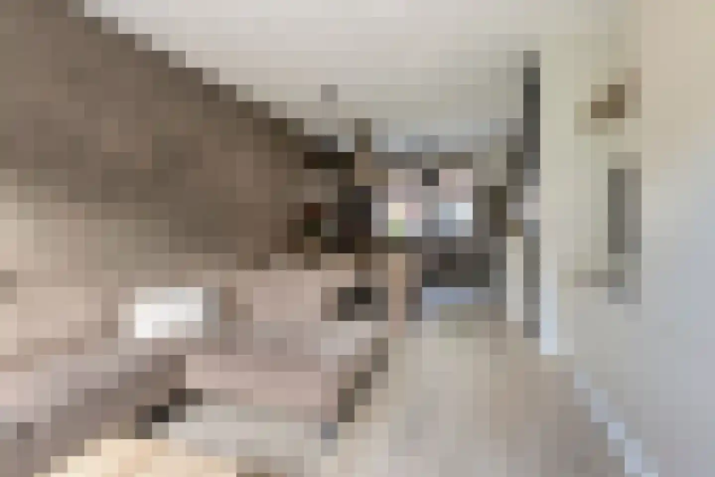 Laarveld 20 Gemert thumbnail 14