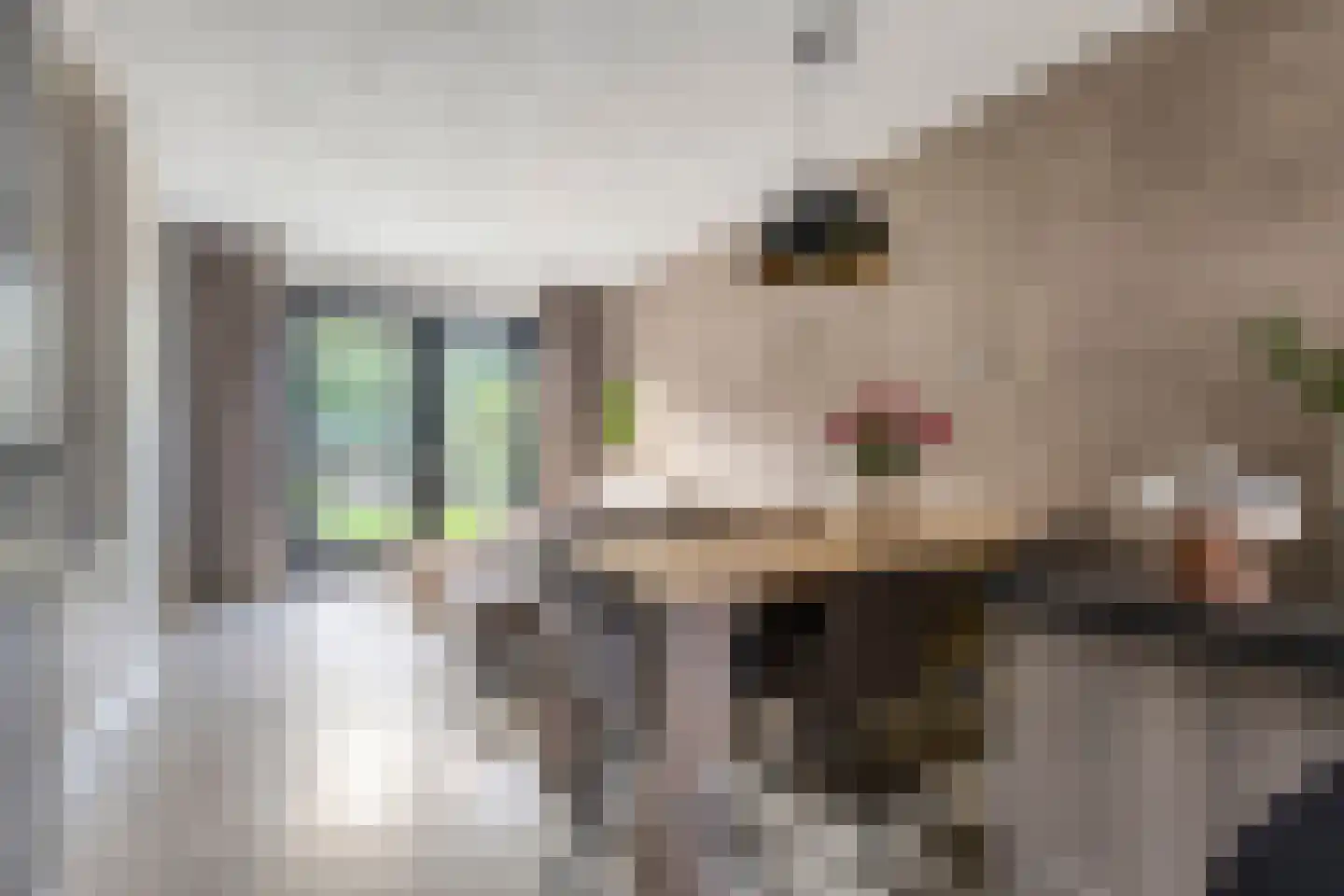 Laarveld 20 Gemert thumbnail 17