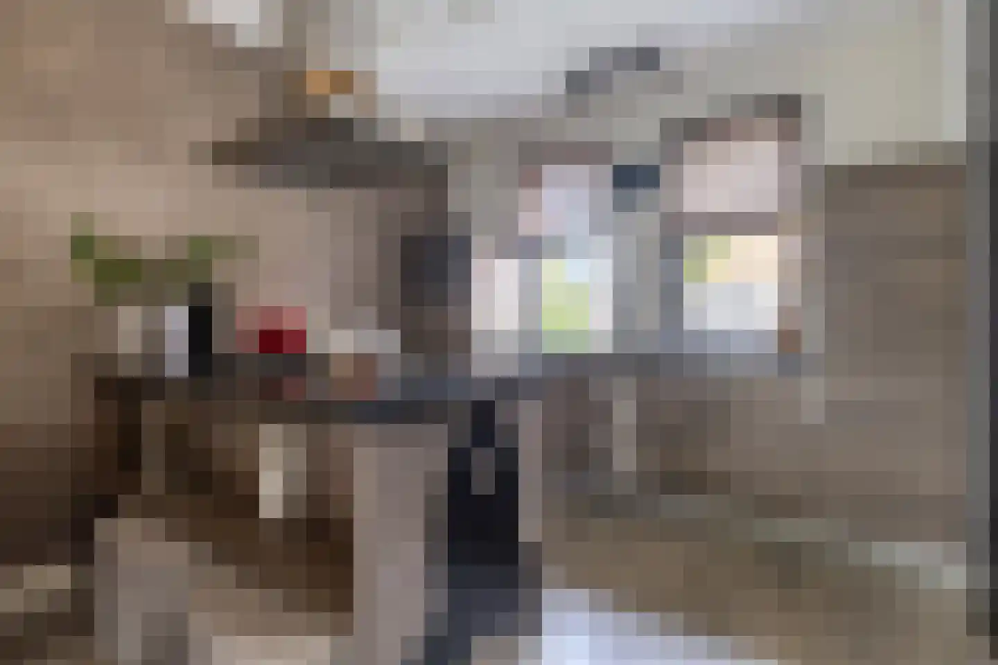 Laarveld 20 Gemert thumbnail 18